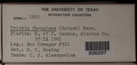 Image Associated With the Occurence